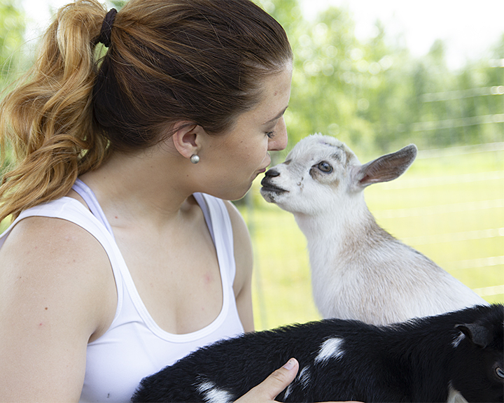Kissing a baby goat