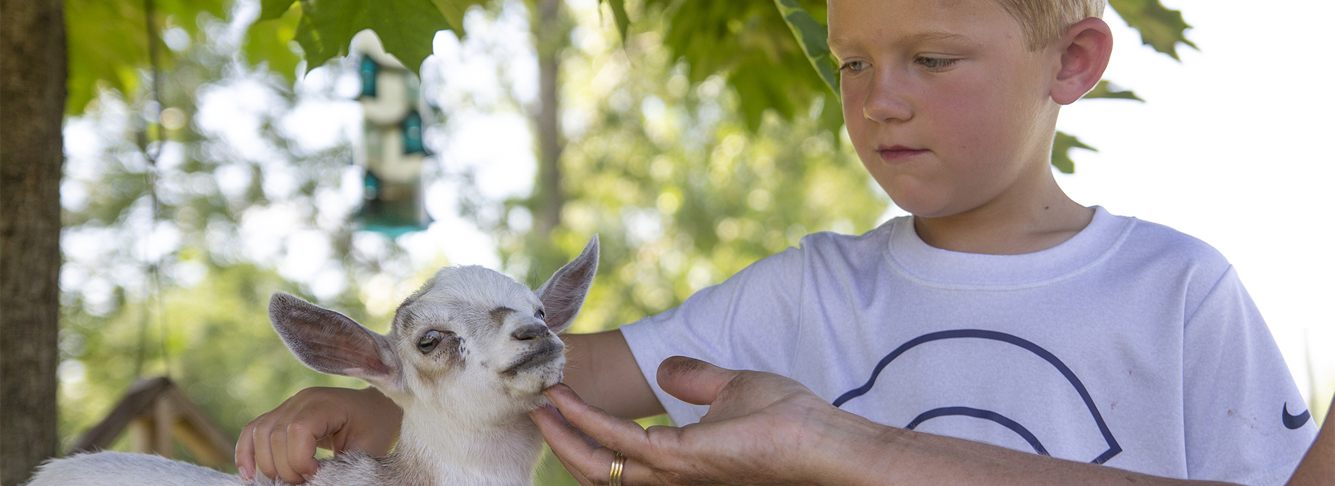 Yo-Goats